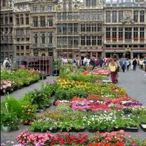 Brussels Grand Place in the summer