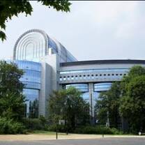 European Parliament Internship - Brussels
