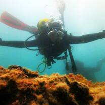 Diving for Lion Fish in St. Vincent
