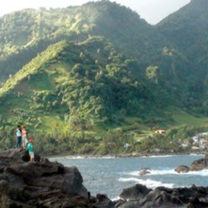 A beautiful ocean and mountain landscape we work to conserve
