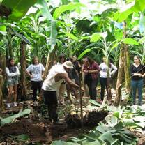 ICADS students learn about banana production in Costa Rica. 