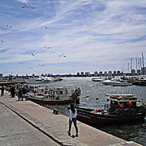Internships in Uruguay