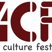 Art Culture Festival