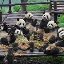 teach in China, teaching in China, China internships