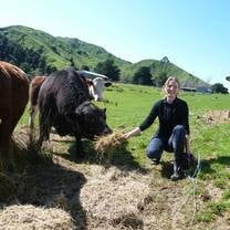 Farmstay girl feeding out the hay to the cows