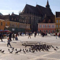 Intern in Romania with Projects Abroad