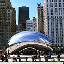 Intrax Global Internships in Chicago, Illinois, USA