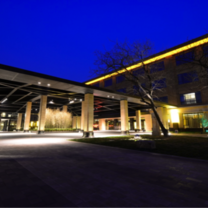 Internship in an international hotel