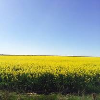 International Ag Intern