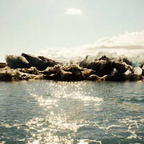 Intern Abroad in Iceland with Panrimo!