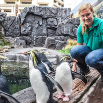 VACorps intern Hilary Polis working at the Two Oceans Aquarium VACorps