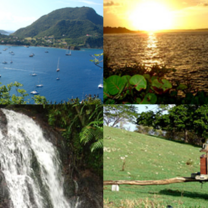nature in Guadeloupe 