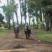Horseback riding in Argentina 