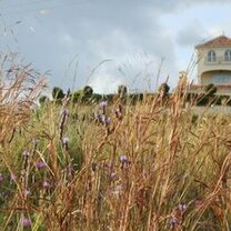 Learn Spanish and live in teacher's home Learn Spanish and live in teacher's home