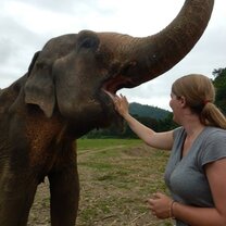 We were able to feed the elephants several times! These were banana mush balls that we helped make.