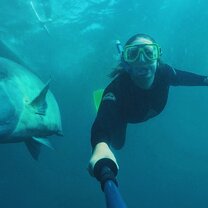 Snorkeling on the Whitsunday Beaches, Airlie Beach Australia.