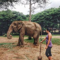 Soaking it all up, Being present, loving it while volunteering at Elephant Nature Park!