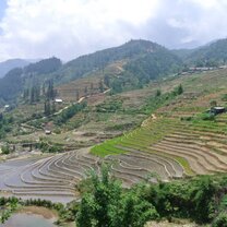 Sapa