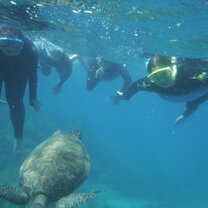 Great Barrier Reef-- Cairns