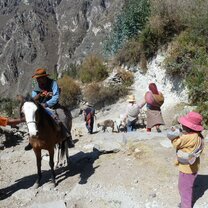 Locals going to tend their fields.
