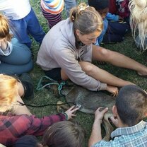 Listening to make sure the puppy was maintaining a normal heartbeat while the vet was evaluating its broken leg.