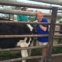 The vet was guiding me through the proper steps of how to pregnancy test cows. (This cow was pregnant!)