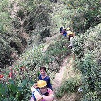 Carrying wood to build a new school.