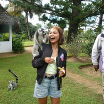 Meeting a lemur