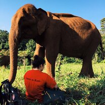 Chilling with Maelot, The Elephant Valley