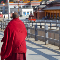 Monk on a stroll
