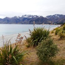 Lake Wanaka