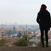 An amazing foggy view of Prague from the castle grounds. 