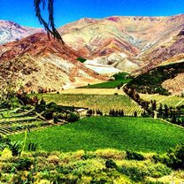 Valle de Elqui