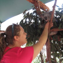Petting Koalas at the Australia Zoo