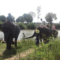 Bathing the elephants at the river in Surin
