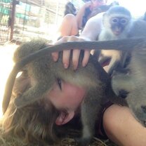 The baby Vervets. They come into the centre from around December (they have breeding patterns) and you get lots of babies in the cage who love to climb all over you.