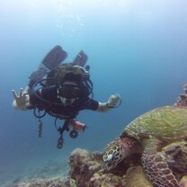 Diving in Thailand