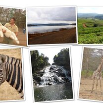 impressions of South Africa