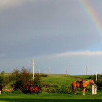 Rainbow after the rain