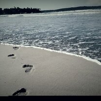 Explore the beautiful beaches surrounding Australia's East Coast.