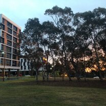 Spring showers on campus