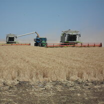 Harvest time on the farm