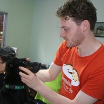 Helping animals