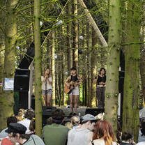 BIMM festivals
