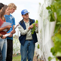 students studying plant
