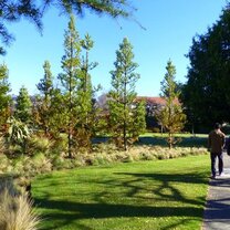 Lincoln campus boasts a gorgeous landscape lincoln campus lawn