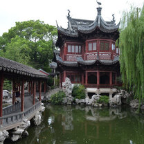 IFSA/Alliance: Shanghai