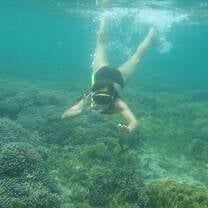 Snorkling: Spanish by the Sea - Bocas