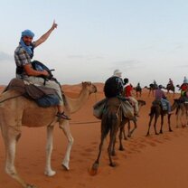 Explore the culture of Morocco Study abroad students riding camels