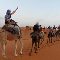Study abroad students riding camels